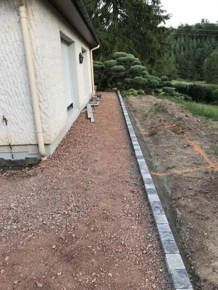 organisation massif plante