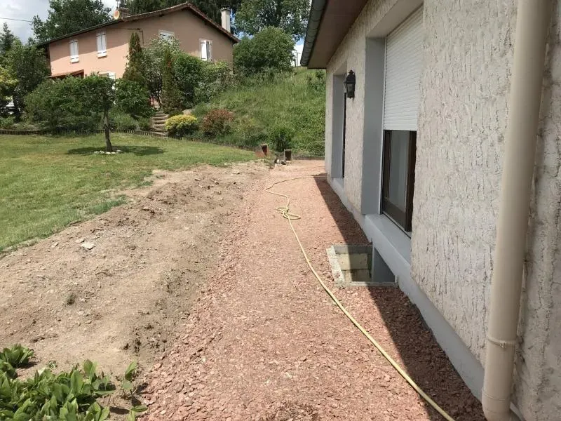 plante ornement jardin