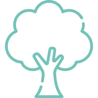 Icone arbre