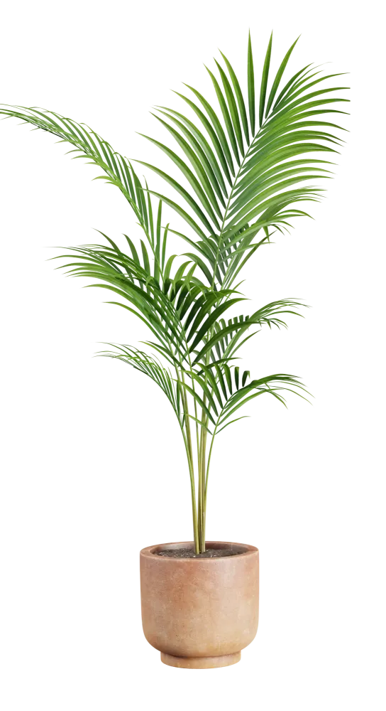 plantes Elagage Abattage